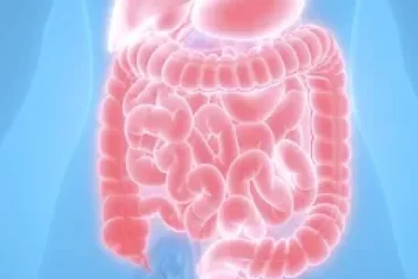 Le bypass gastrique à Casablanca – Un traitement chirurgical complet contre l’obésité